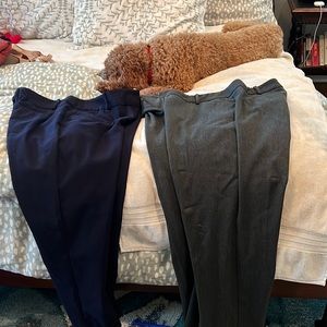 Two pair pants. Blue loft ankle. Grey wool